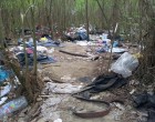 Kosz - bűz - fertőzés. Ezt hagyják a migránsok maguk után a szegedi ártérben.