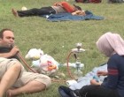 A nap képe: Ilyen egy háborúk által elűzött menekült?