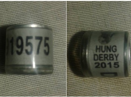 Kedves ismerőseim segítségeteket szeretném kérni osszátok légyszi. Ma délután az udvaromra beesett egy gyönyörű fehér kékesszürke postagalamb amit begyen lőttek és sajnos elpusztult. Nagyon remélem aki ezt tette megkapja jussát a jó istentől és elolvassa ezt az üzenetet mert az a galamb százszor többet ér annál aki ezt meg merte tenni. A gyűrűnek a száma D919575 Hung Derby 2015 kérlek benneteket minél többen osszátok hátha ráismer a gazdája, köszönöm.