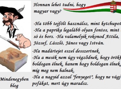 Honnan lehet tudni, hogy magyar vagy?