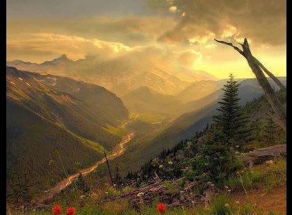 Wass Albert: Utas vagyok csak ebben a világban, egészen magánosan vándorló utas, aki megnézhet mindent, amit látni módjában van, de semmit magával el nem vihet, semmit félre nem tehet, semmihez hozzá nem kötözheti magát, bármennyire is megszerette ezt, vagy amazt. S lassan, lemondó szomorúsággal kialakult bennem az útiterv is: az ember éppen csak gyönyörködik abban, ami arra való. Néhány dolgot megjegyez magának, egészen rendszertelenül és minden értelem híján s igyekszik kissé megszépíteni azt az utazást, amennyire lehet. Átballag az életen, éppen mintha tóparton menne, váltakozó arcú dombok között, mindig lát valami újat és mindig elbúcsúzik valami régitől, s legokosabb, ha mindezt úgy cselekszi, mint a világ legtermészetesebb dolgát. Mintha nem lenne abban semmi szomorú, hogy az idő búcsúzással telik, hogy minden hajnal egy alkonyatnak a sarkára hág s hogy vannak virágos tájak, amiket megszeretünk s a táj elmosódik a múltba