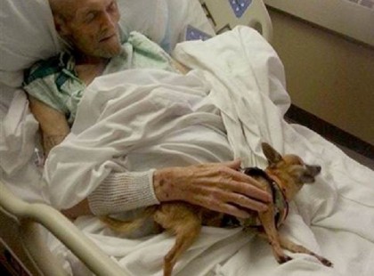 A végső stádiumos rákos férfinak megengedték, hogy a kutyáját bevigye a kórházba és ami ezután történt…