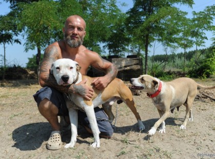 Kutyákkal épített ki védelmi rendszert Röszkén Filó Andor - A tanya mellett naponta több száz menekült halad el mostanában. A kutyák miatt messze elkerülik a telket.