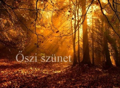 REKORD HOSSZÚ LESZ IDÉN AZ ŐSZI SZÜNET! - NAGYSZERŰ HÍR DIÁKOKNAK! Szeptember 1-jén megkezdődik az iskola, de legalább az őszi szünet rekord hosszú lesz! Összesen 181 napot kell majd iskolába menni az új tanévben! ITT VANNAK A LEGFONTOSABB INFÓK AZ ÚJ TANÉVHEZ :Osszátok meg kérlek benneteket ha tehetitek, mert ez nagyon jó hír a diákoknak és fontos információk a szülőknek! Nyomtasd ki, mert még sokszor szükséged lehet rá! KÖSZÖNJÜK!