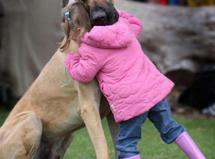 Múlt hónapban meghalt a 14 éves kutyánk, Abbey. Másnap a 4 éves kislányunk Meredith sírdogált és arról beszélt, mennyire hiányzik neki Abbey. Megkérdezte, tudnánk-e írni egy levelet Istennek, hogy amikor Abbey a mennybe jut, az Isten felismerje őt