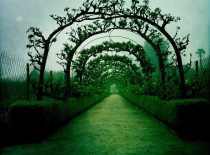 Aranyosi Ervin: Az út végén…