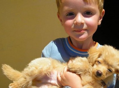 Kölyökkutyák eladók! - megható történet