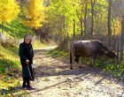 Várnai Zseni: ANYÁM AZ ŐSZBEN