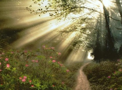 “Az angyal pedig látta, hogy szép az erdő, és elindult, hogy megkeresse három társát: a Jóság angyalát, a Szeretet angyalát és a Békesség angyalát.