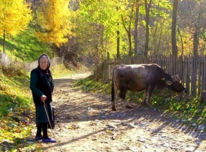 Várnai Zseni: ANYÁM AZ ŐSZBEN