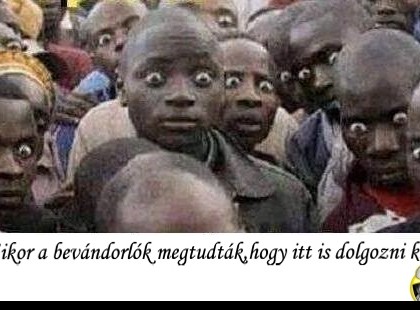 Mikor a bevándorlók megtudták,hogy itt is dolgozni kell.