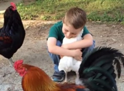 A kisfiú egy ölelést kér a tyúktól. A szárnyas reakciója? Na erre biztosan nem számítottál!