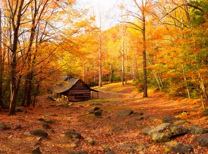 20 ok, amiért vidéken ezerszer élvezetesebb az ősz