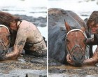 Saját életét kockáztatva, órákig küzdött sárba ragadt lova életéért ez a nő