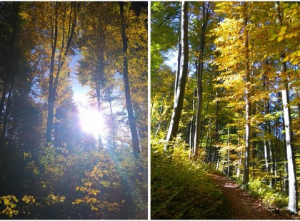 Tavasz lesz novemberben! Szokatlanul kellemes időjárás elé nézünk