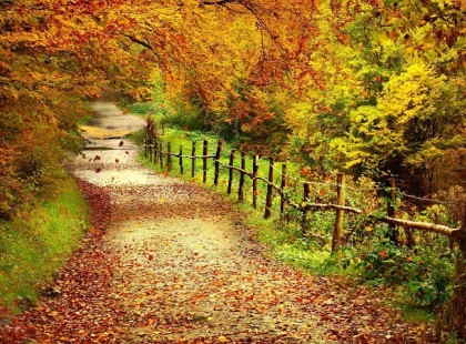 Emeld fel fejed, lásd meg a szépet szemed kékjében égjen a fényed...