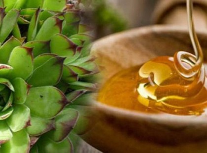 Ez a keverék megöli a petefészekben lévő cisztákat és miómákat!