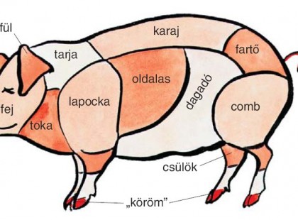 Konyhai alapok: mire jó a disznó tarja és karja?Avagy: ezt miért nem tanítják az iskolában?