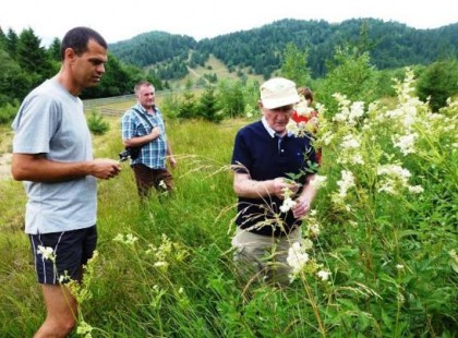 A bükki füvesember legfontosabb gyógyító praktikái
