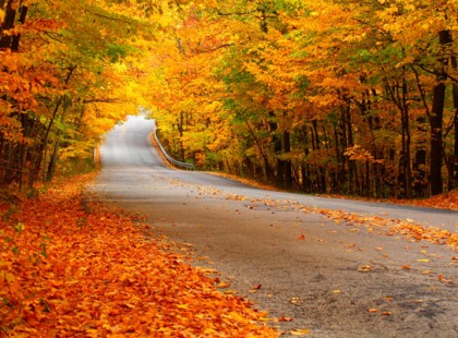 Wass Albert: Őszi hangulat