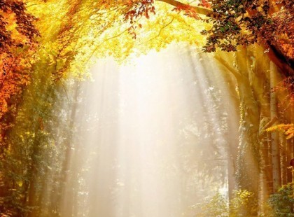 20 fok lesz vasárnap!