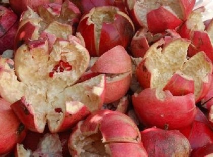 A gránátalma héja 7 nap alatt meggyógyítja a gyomorfekélyt!