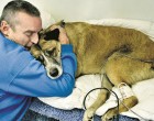 Lángoló épületből mentette ki kutyáját ez a hős gazdi