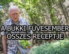 A BÜKKI FÜVESEMBER ÖSSZES RECEPTJE 1.RÉSZ