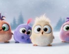 Az Angry Birds karácsonyi videója annyira édesre sikerült, hogy garantáltan elolvadsz tőle! :)