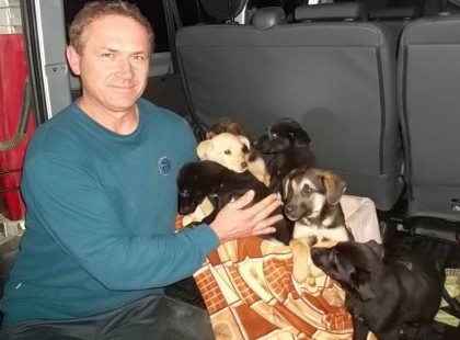 MEGÁLLÍTOTTA A BUSZT A KISKUTYÁK MIATT