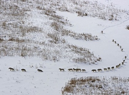 A FOTÓ, ami meghódította az internetet és ami többet mond ezer szónál!