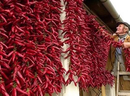 Miért jó, ha csíp a paprika?Az igazi erős paprika gyógyhatásai