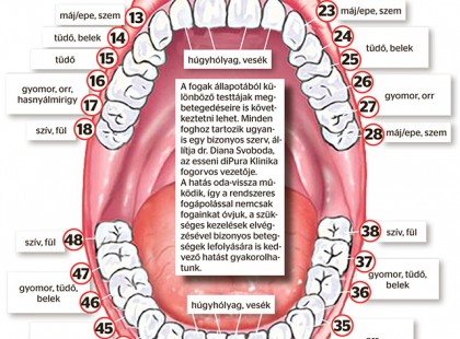 Itt a térkép: amelyik fogad elromlott, a hozzá tartozó szerveddel van baj!