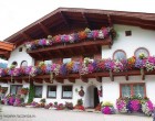 36 csodálatos balkon, virágláda, kaspó inspiráció
