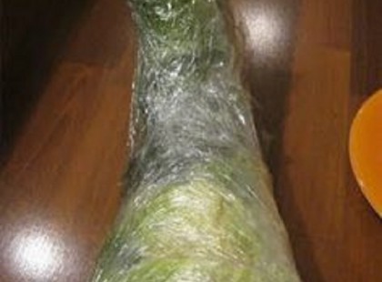 Mint a mágnes, úgy húzza ki belőled a betegséget a káposztalevél!