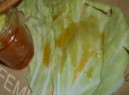 Kenj mézet a káposzta levélre és felejtsd el az orvost, a drága gyógyszereket!