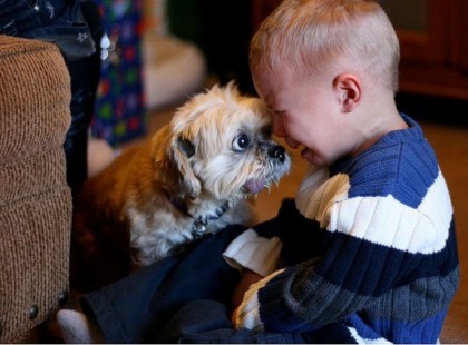 25 ok, amiért a gyerekeknek szükségük van háziállatra