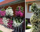 82 csodálatos balkon, virágláda, kaspó inspiráció