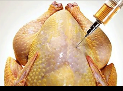 Elismerték sajnos hivatalosan is – rákkeltő anyag van a csirkehúsban – ezt találták benne!