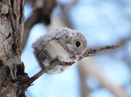 28 fénykép amelytől elolvad a szíved... a 10-ik után már teljesen el leszel olvadva!