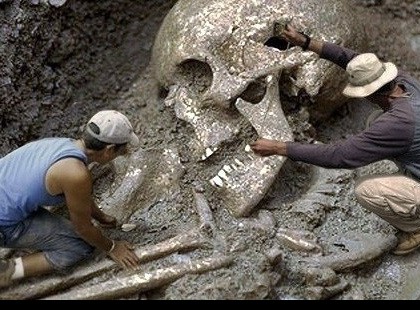 A Smithonian intézet elismerte, hogy több ezer óriás koponyát semmisítettek meg az 1900-as évek elején