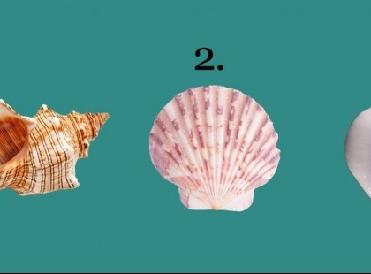 Ne gondolkozz sokat, válaszd ki azt a kagylót, amelyik a legjobban tetszik. Majd olvasd el mit árul el rólad!