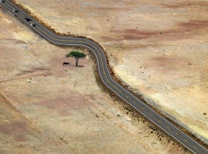 15 példa, hogyan kell bánni a természettel