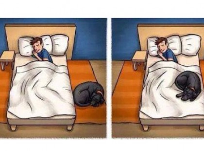 16 dolog, amit csak azok fognak érteni, akiknek kutyája van