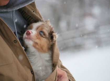 31 erőteljes fotó, ami mellett nem mehetünk el szótlanul