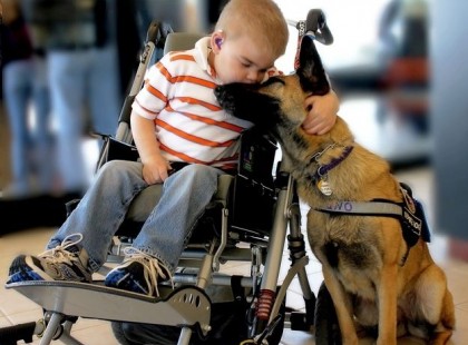 23 megható fotó, amik még egy kősziklát is meglágyítanának!