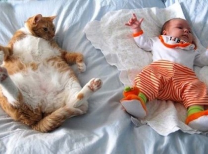 20 bizonyíték, hogy a gyerekeknek szükségük van a macskákra