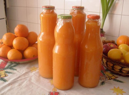 Házi Kubu - Igazi vitaminbomba, hozzáadott cukor nélkül!