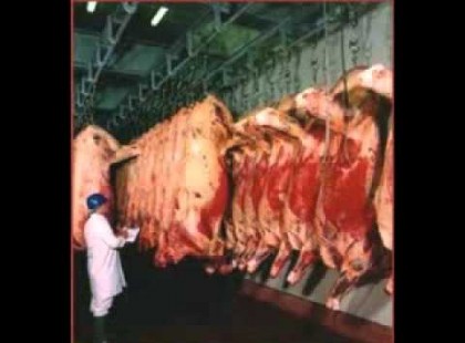 Tudtad, hogy tudatosan mérgezik a magyarokat? Itt a bizonyíték!