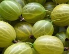 Ez az apró gyümölcs a világ egyik legerősebb antioxidánsa, 20x annyi c-vitaminnal, mint amennyi a narancsban van